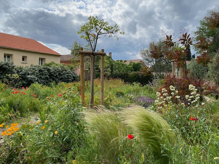 A mediterranean garden in Languedoc South of France