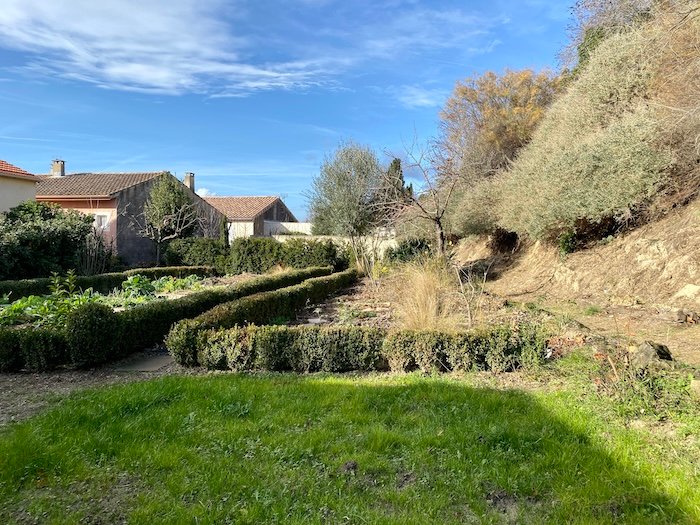 The lawn in mediterranean garden in Languedoc South of France