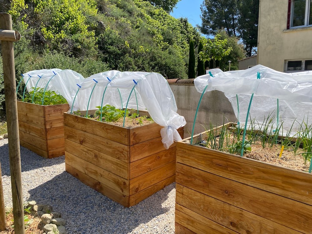 Vegetable garden, raised beds, South of France, Languedoc