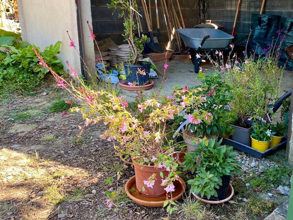 Planting season in a mediterranean garden